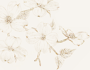 Naturalne składniki